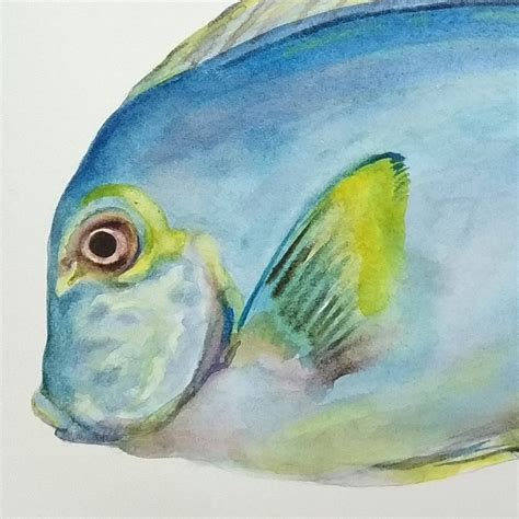 Tropische Fische Aquarell Original Gem Lde Aquarell Kunstdruck Etsy De