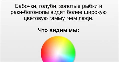 Цветовая гамма | Пикабу