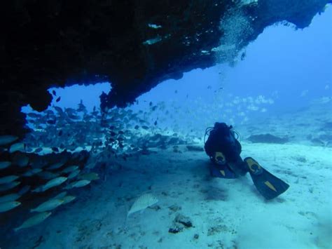 Diving The Canary Islands - DeeperBlue.com