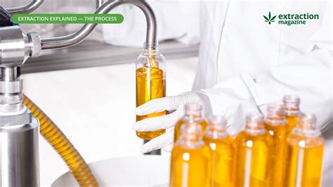 What Is Pressurized Liquid Extraction Extraction Magazine Glossary