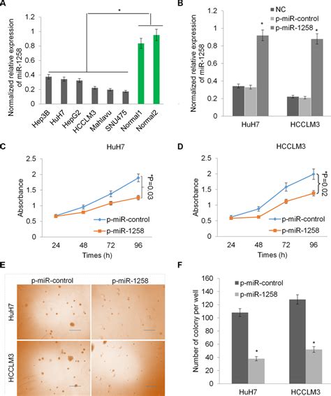 Overexpression Of Mir Inhibits Liver Cancer Cell Growth And