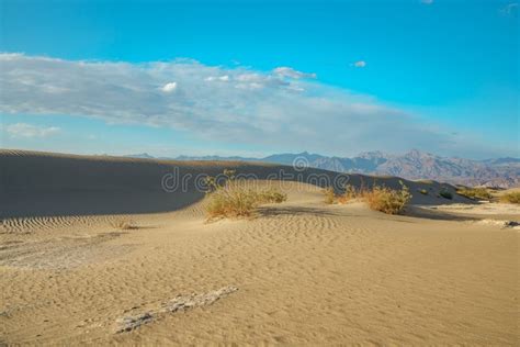 Dunas De Arena En Desierto Y Silueta De Monta As Mezquite Dunas De