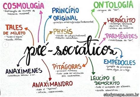 Mapa Mental Sobre As Aves Study Maps Artofit