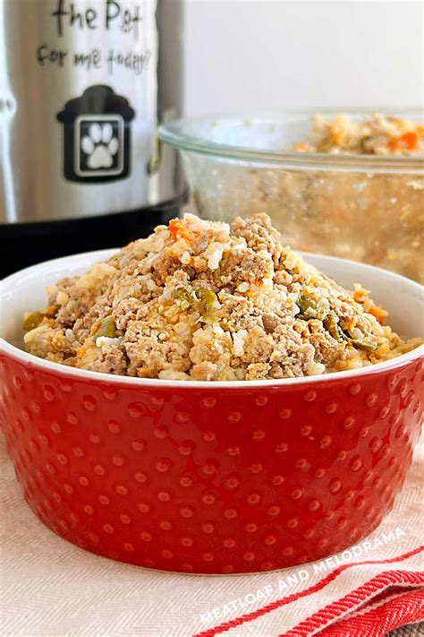 Homemade Instant Pot Dog Food - Meatloaf and Melodrama