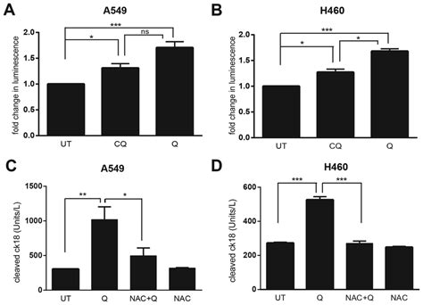 Quinacrine Induced Cell Death In Nsclc Cells Is Associated With