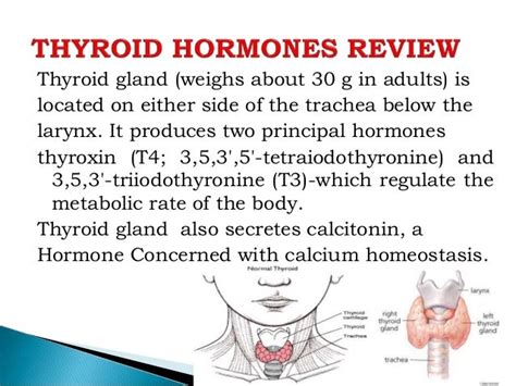 Goiter Disease Of Thyriod Gland