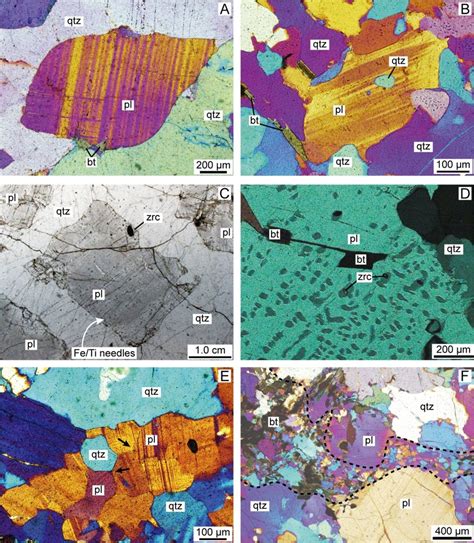 Textural Features From Plagioclase Crystals In The Leucosomes Related