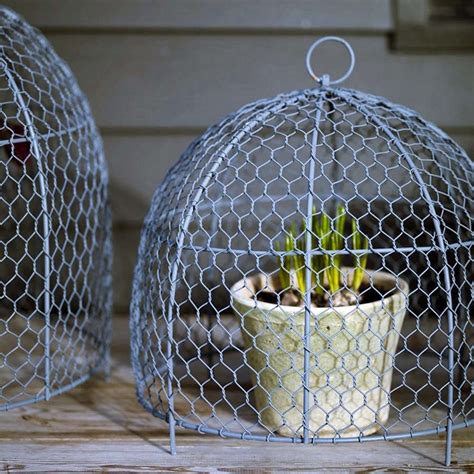 Garden Hacks 10 Ideas For Wire Cloches Gardenista