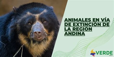 Recursos Naturales De La Región Andina Colombiana Colombia Verde