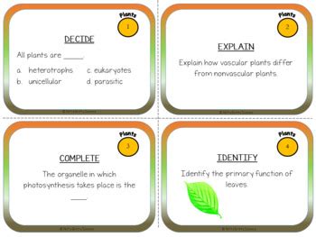 Plants Task Cards By Nitty Gritty Science Tpt