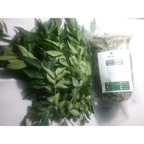 Jual Daun Salam Koja Daun Kare Daun Temuru Daun Korokeling Kering