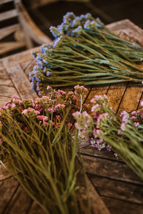 Droogbloemen En Boeketten Veldkleur Be