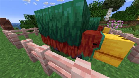 【マイクラ】スニッファーの卵の探し方や孵化の方法、スニッファーの繁殖や種探しについて解説。【minecraft】 ゲームを語るブログ