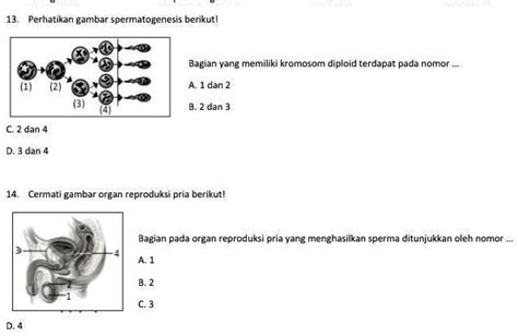 Solved Tolong Yh Kak Bentar Lagi Mau Dikumpul Perhatikan Gambar