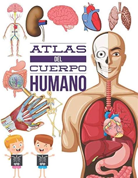 ATLAS DEL CUERPO HUMANO ANATOMIA FISIOLOGIA PATOLOGIA 51 OFF