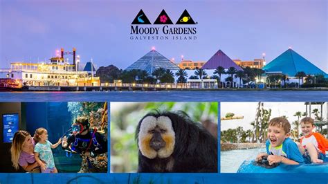 Enter to win a Moody Gardens 2023 Getaway | wfaa.com