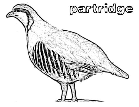 Partridge Family Coloring Pages Coloring Pages