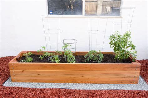 9 Creative Diy Tomato Planter Ideas