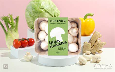 89 Eco Friendly Packaging Of Mushrooms Packaging Of The World Food