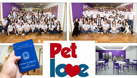 Grupo Petlove Abre Novas Vagas De Emprego Efetivas E Para Est Gio