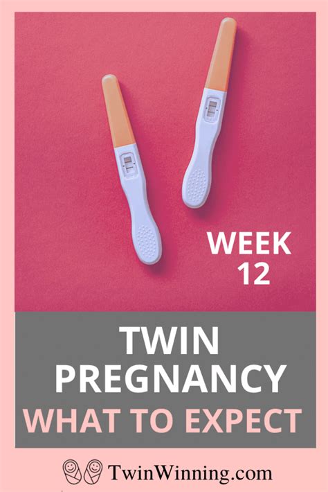 Week 12 Twin Pregnancy Symptoms Size Development Twin Winning