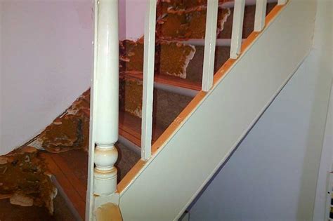 Early Signs Of Dry Rot And Prevention Comprehensive Homeowner Guide