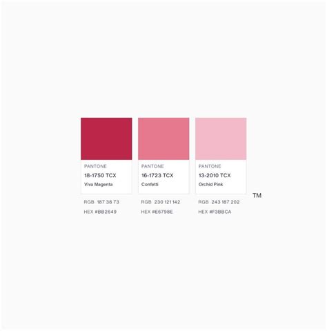 Blush Pink Pantone Color Pantone Colour Palettes Brand Color Palette ...