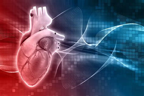 Heart Bypass Surgery Vs Angioplasty Which Is Better Credihealth