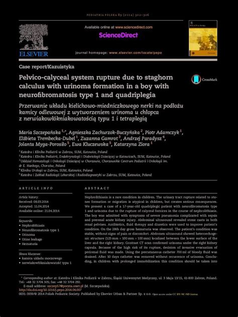 (PDF) Pelvico-calyceal system rupture due to staghorn calculus ... · Reconstruction of staghorn ...