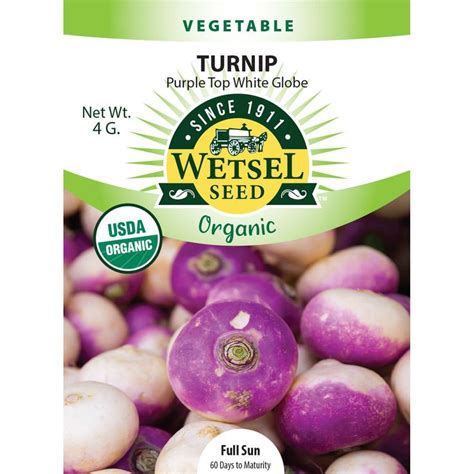 G Packet Wetsel Seed Organic Purple Top Turnip Seed Em