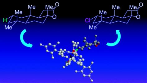 Manganese Porphyrins Catalyze Selective C−h Bond Halogenationsjournal