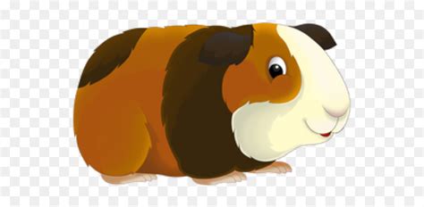 Cartoon Guinea Pigs Transparent Background Guinea Pig Clipart Hd Png