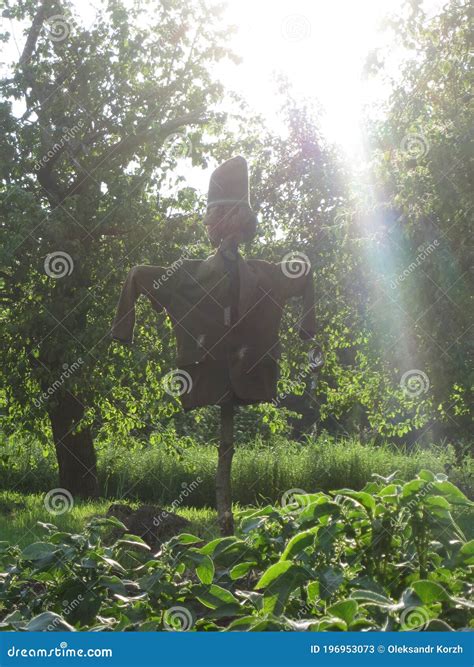 Scary Scarecrow in Garden Discourages Hungry Birds Stock Image - Image ...