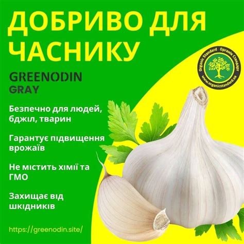 Добриво для часнику GREENODIN GRAY гранули-5кг – фото, отзывы ...