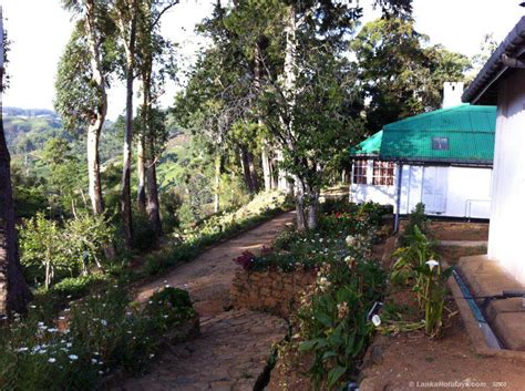 Serviced Bungalows In Kandapola Tea Estate Bungalow In Kandapola