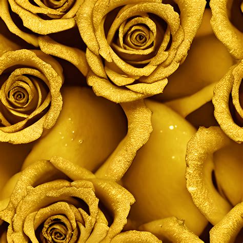 Golden Roses Bouquet Digital Graphic · Creative Fabrica