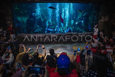 UPACARA BENDERA DI SEAWORLD ANCOL ANTARA Foto