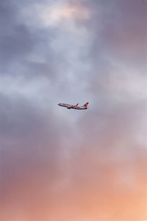 Birds Flying under Clouds at Sunset · Free Stock Photo