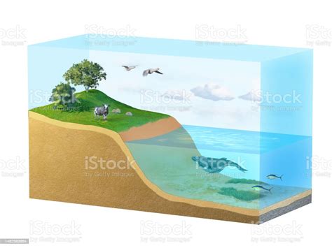 Biosphere Diagram Stock Photo - Download Image Now - Biosphere - Planet ...