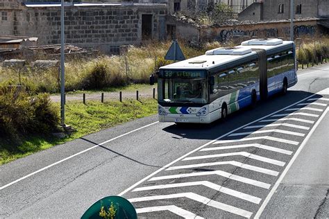 El Ayuntamiento De Palma Refuerza La Vigilancia Y Las L Neas De