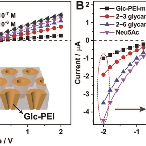 Schematics Illustration Of The Biomimetic Nanochannels For Glycan