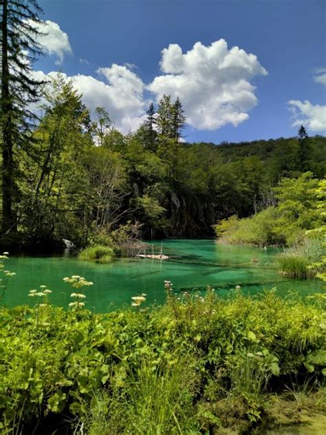 Plitvice Lakes Guided Walking Tour With A Boat Ride