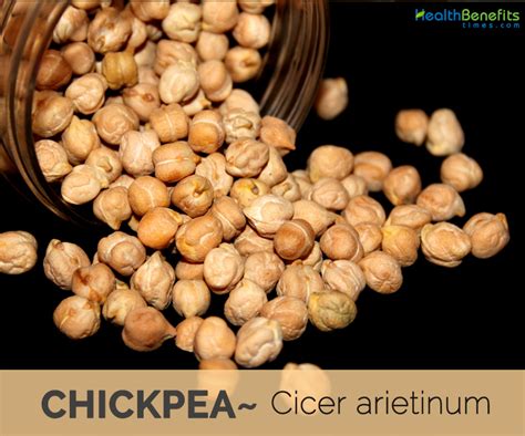 17 Top Health Benefits Of Chickpeas Hb Times