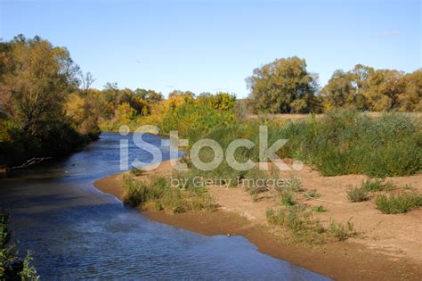 River, Stream, Stock Photo | Royalty-Free | FreeImages