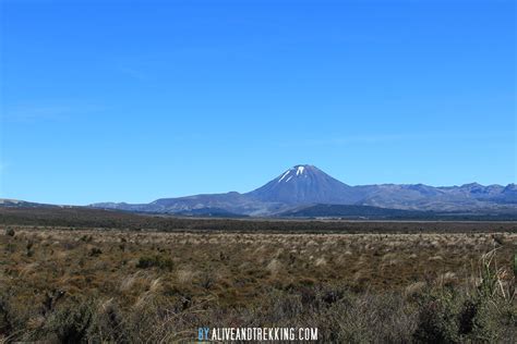 Mt. Ngauruhoe – Alive and Trekking