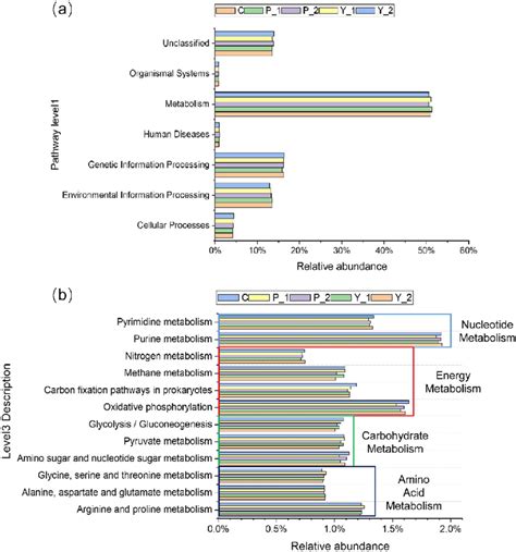 Picrust Function Prediction For Different Samples A Relative Abundance