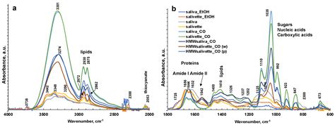 Metabolites Free Full Text The Role Of The Preanalytical Step For