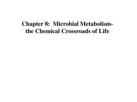 Chapter Microbial Metabolism The Chemical Crossroads Of Life Ppt