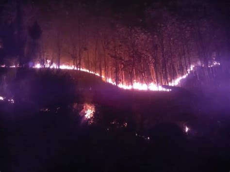 Hutan Jati Dan Pinus Di Banyumas Terbakar Krjogja