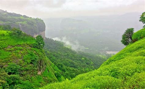 Harishchandragad Flowers Trek 2024